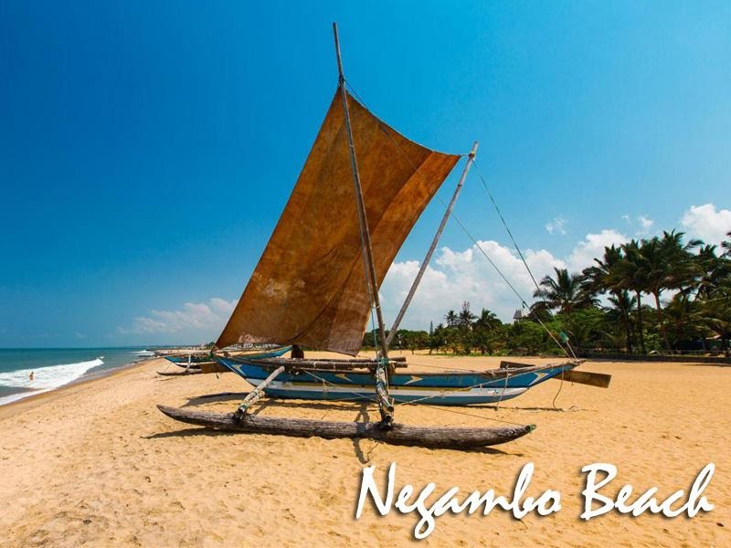 Flyme Global - Negambo Beach