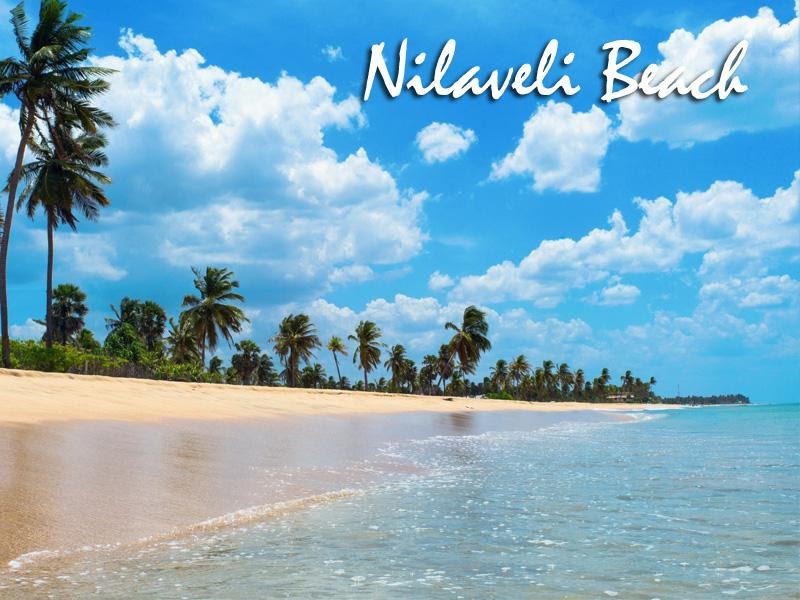 Flyme Global - Nilaweli Beach