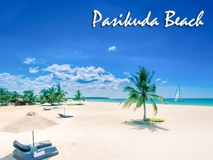 Flyme Global - Pasikuda Beach